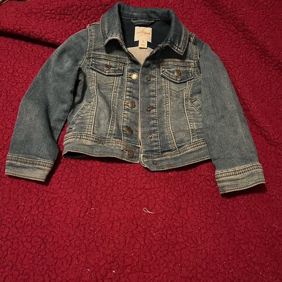 Huge Lot of 12 Girls Size 2T Dresses - Picture 5 of 5